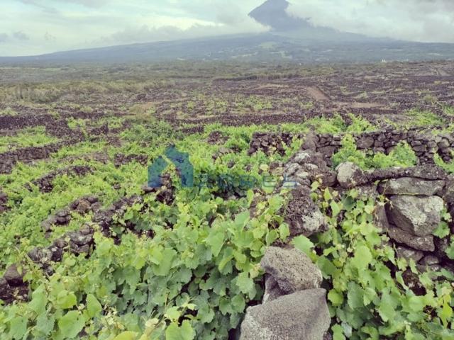Terreno à venda Madalena, Açores