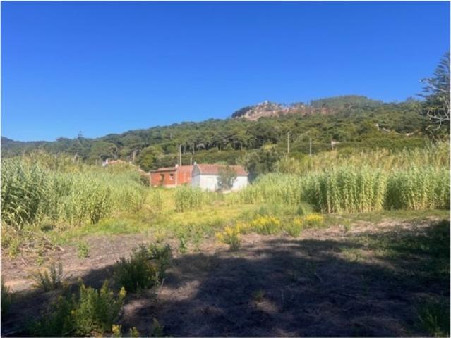 Terreno à venda Malveira da Serra, Cascais, Lisboa