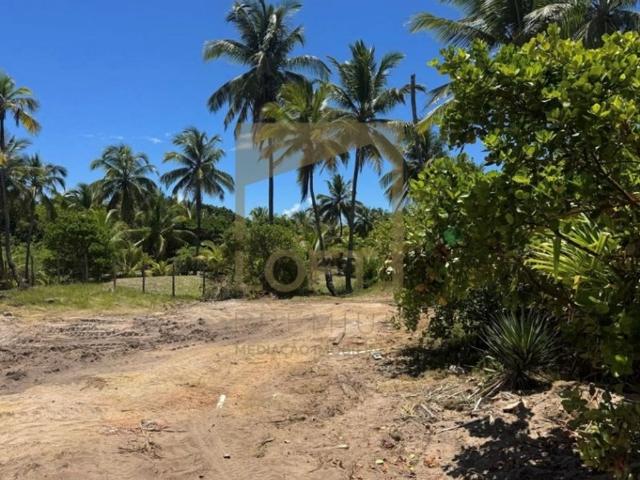 Terreno à venda Maraú, Bahia