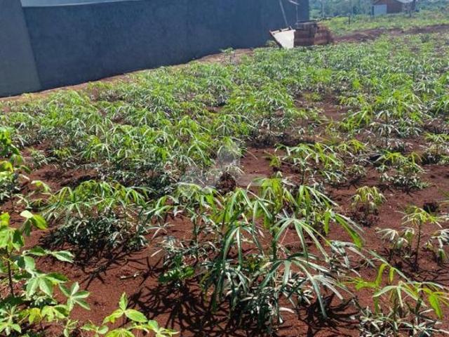 Terreno à venda, Novo Sobradinho, TOLEDO PR, com área de 400 metros, sol da manha