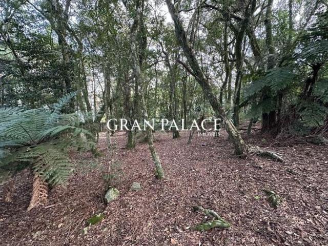 Terreno à venda no Condomínio Lagos de Gramado — Centro de Gramado