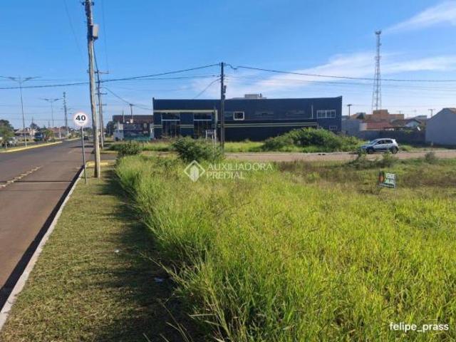Terreno à venda no Centro de Triunfo