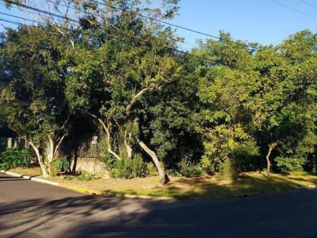 Terreno à venda no Centro