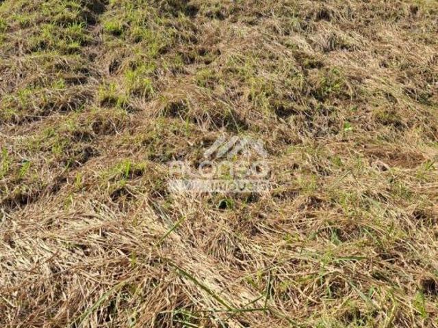 TERRENO À VENDA NO BONFIGLIOLI / BUTANTÃ