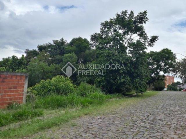 Terreno à venda no bairro Mauá em Novo Hamburgo medindo 13 x 28,80