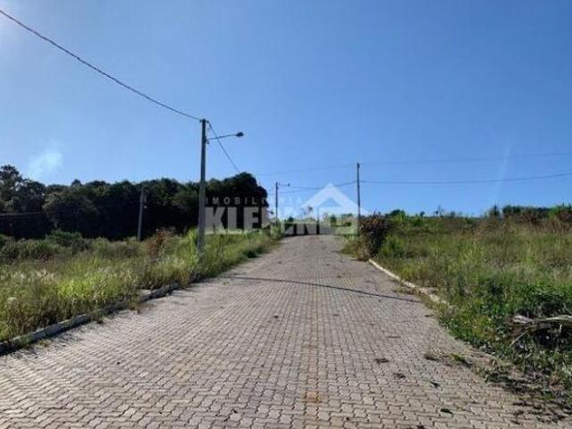 Terreno à venda no bairro Morro Tico Tico Bom Princípio/RS