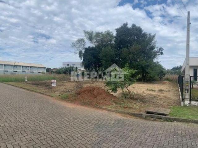 Terreno à venda no bairro Morro Tico Tico Bom Princípio/RS