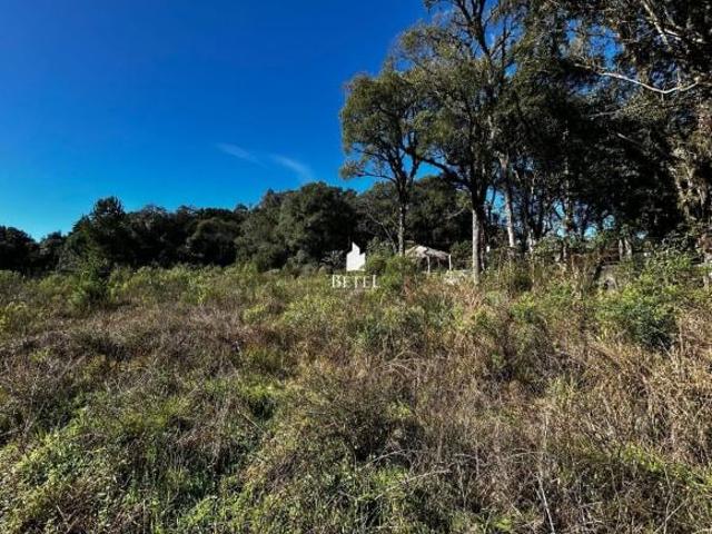 Terreno à venda no bairro Ana Rech Caxias do Sul/RS