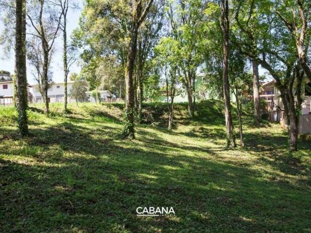 TE507 Terreno à venda no bairro Ana Rech