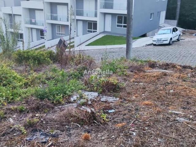Terreno à venda no bairro Ana Rech