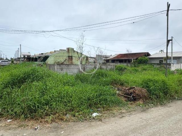 Terreno à venda no bairro Beltrami Pontal do Paraná/PR