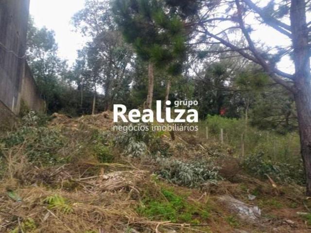 Terreno à venda no bairro Charqueadas Caxias do Sul/RS
