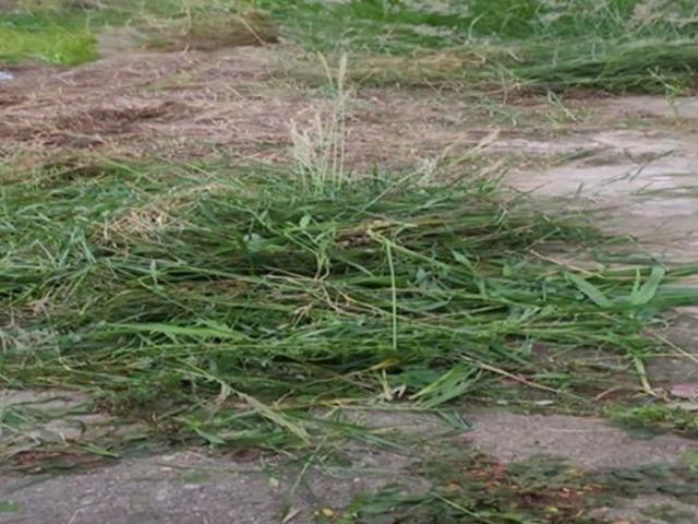 Terreno à venda no Bairro do Piqueri na Rua Manuel Fagundes de Souza