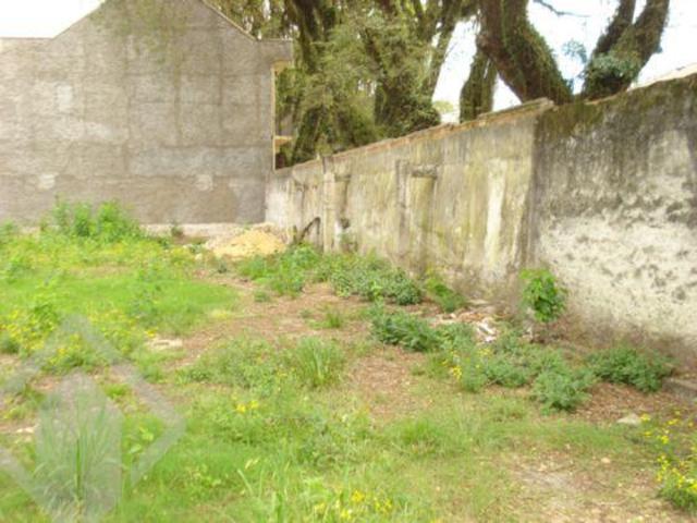 Terreno a venda no bairro Floresta