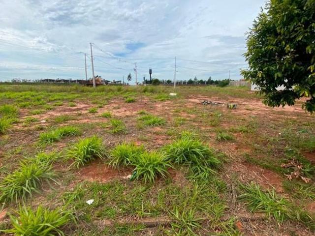 Terreno à venda no bairro Jardim Trianon Umuarama/PR