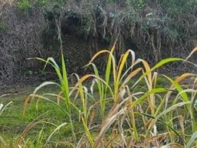 Terreno à venda no bairro Jardim Brasil em Jundiaí SP