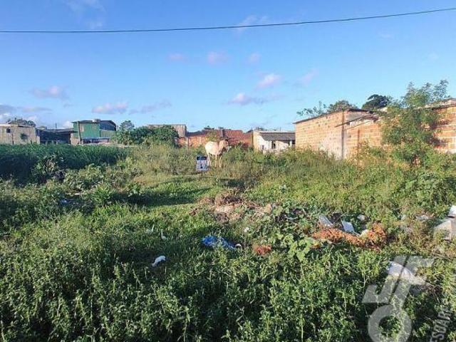 Terreno à venda no bairro Laranjal em Pelotas/RS