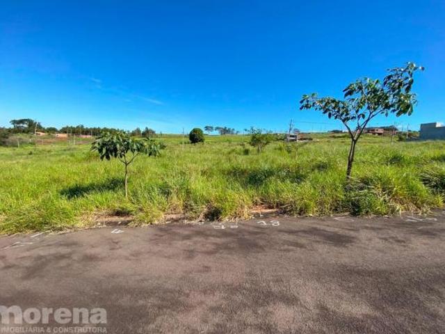 Terreno à venda no bairro PARQUE RESIDENCIAL ROMA Umuarama/PR