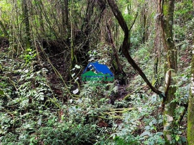 Terreno à venda no bairro Quatro Óleos – Aiuruoca/MG