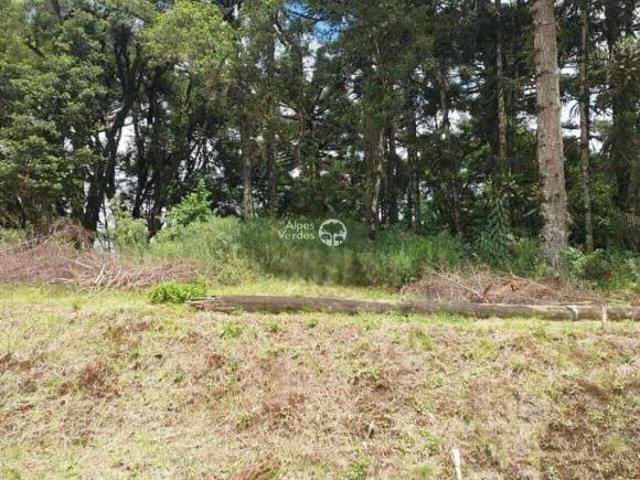Terreno à venda no bairro São Luís em Canela Lote 37 / Área de 553,55m²
