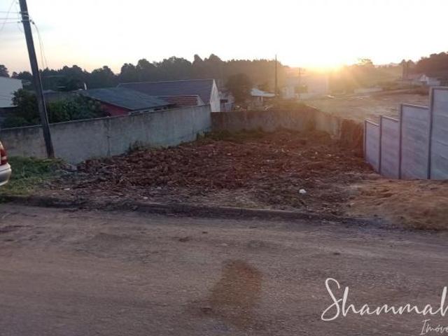 Terreno à venda no bairro Santo Antônio São José dos Pinhais/PR