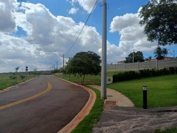 Terreno à venda no Betel em Paulínia/SP