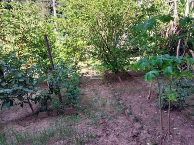 Terreno à venda no Jardim Merci I