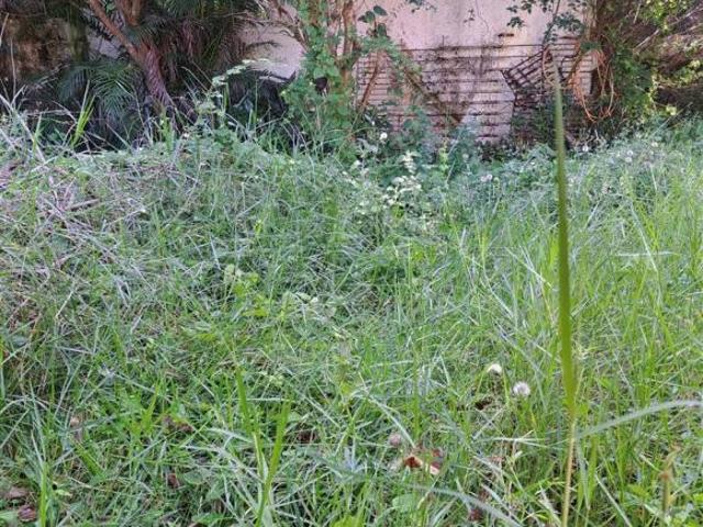 Terreno à venda no Jardim Praia Grande