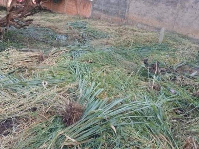 Terreno à venda no Jardim São Camilo em Hortolândia/SP
