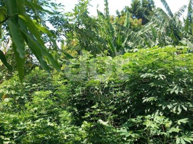 Terreno à venda no Jd Campos Elíseos em Campinas/SP