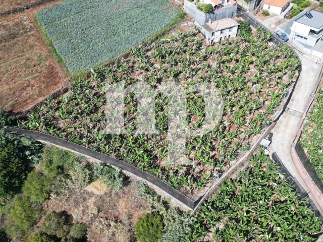 Terreno à venda no Lombo de S. João m² Ponta Do Sol