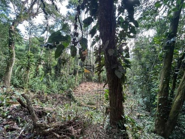 TERRENO À VENDA NO MORRO DA ANITA EM UBATUBA NO BAIRRO DO ITAGUÁ