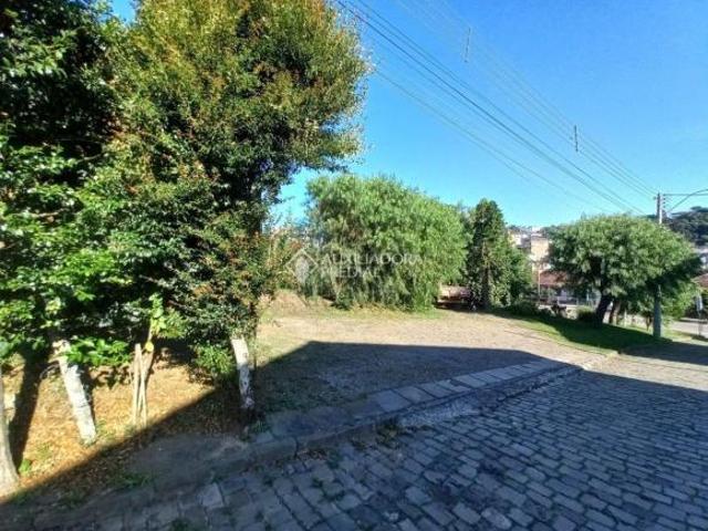 Terreno à venda em Caxias do Sul
