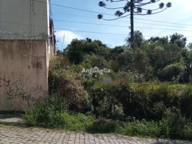 Terreno à venda no São Caetano