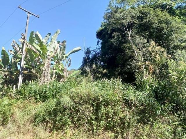 Terreno á venda no Sao Joao da Graciosa, com 50 mi