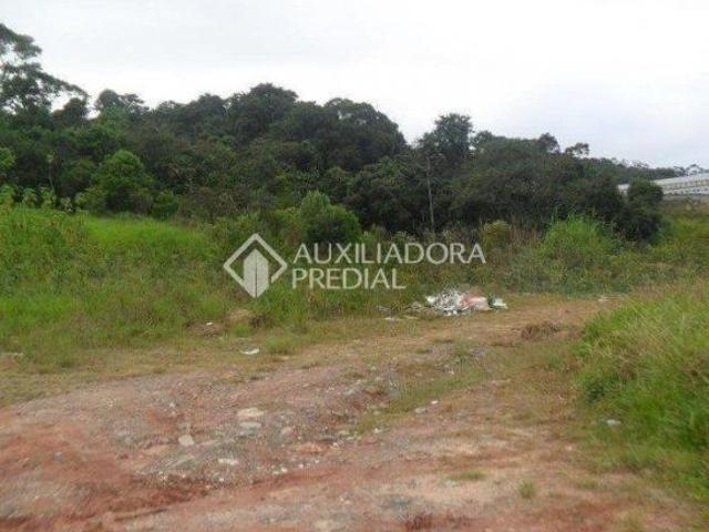 Terreno à Venda no Parque São Vicente, Mauá