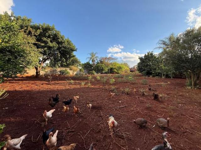 TERRENO À VENDA NO RECANTO MUNDO NOVO EM APUCARANA