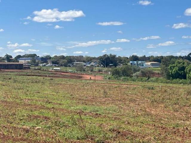 Terreno à venda no Residencial Luiza, Bairro Santa Terezinha em Paulínia SP