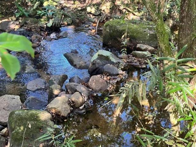 TERRENO À VENDA NO RIO SAGRADO – 500 M² COM RIO NO