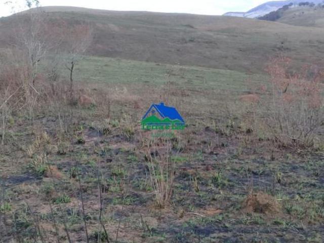 Terreno à venda no trevo de Liberdade, MG