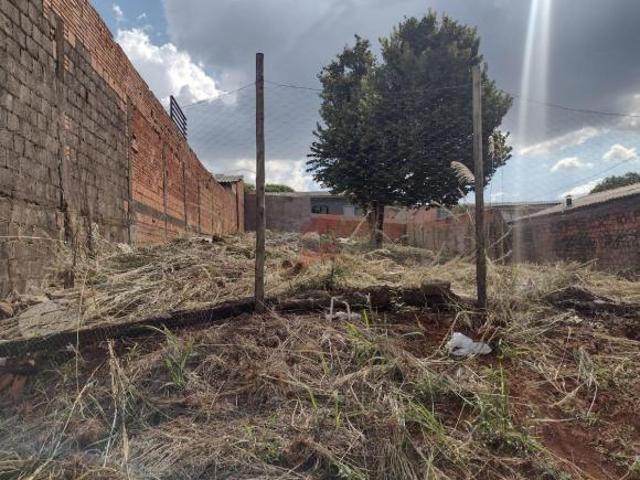 Terreno à venda no Universitário