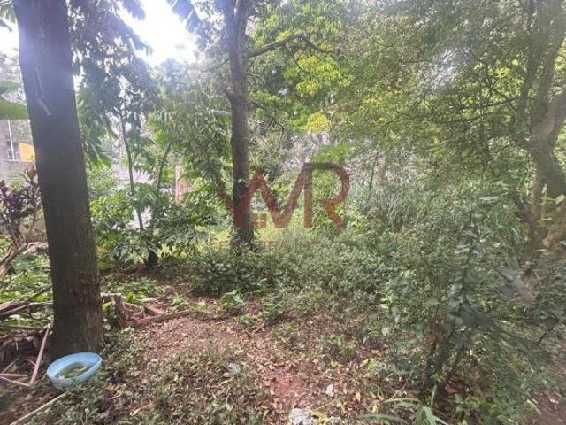 Terreno à venda no Vila Carmosina