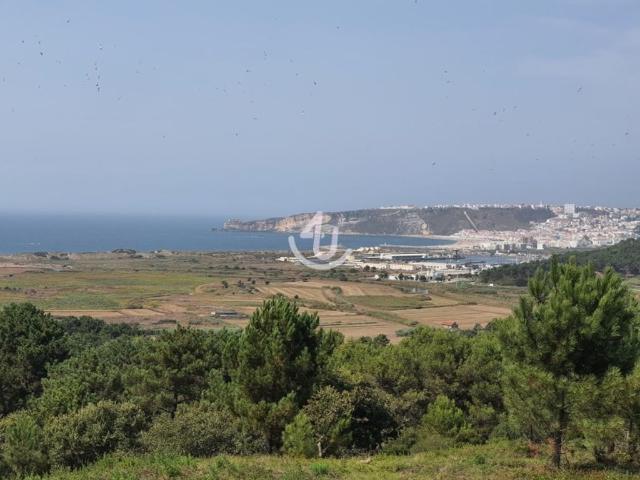 Terreno à venda Casal Mota, Nazaré, Leiria
