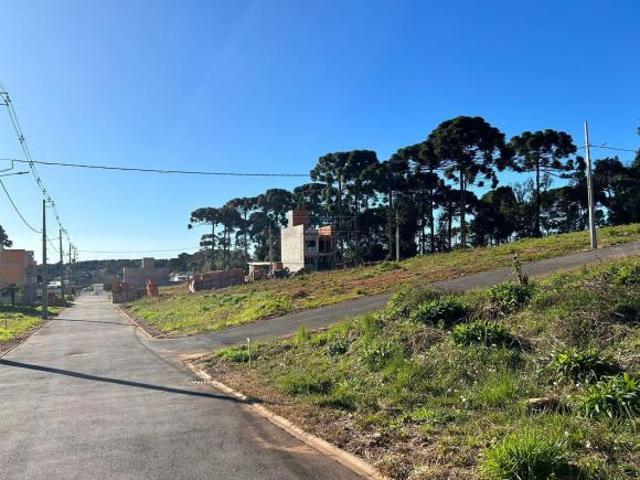 Terreno à venda na Gralha Azul