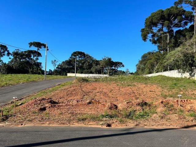 Terreno à venda na Gralha Azul