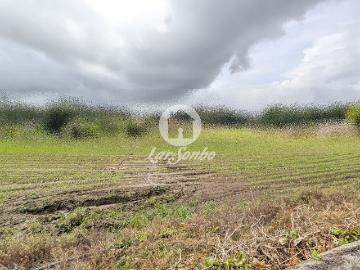Terreno à Venda na Junqueira