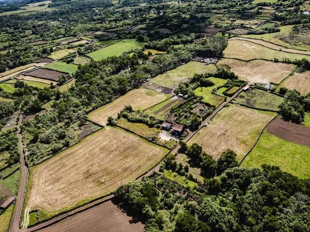 Terreno à Venda na Madalena, Ilha do Pico 43.000m²