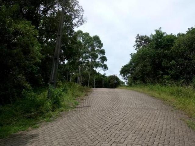 Terreno à Venda na Pousada da Neve Nova Petrópolis | 490m² na Rua Principal com Vista para o Vale