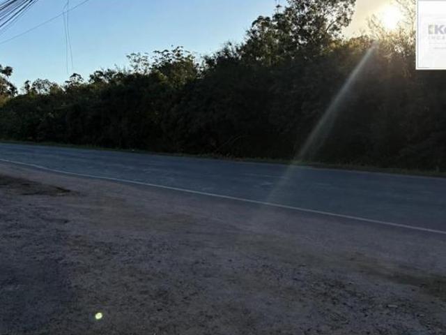 Terreno à venda na Ponta Grossa