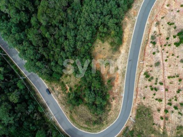 Terreno à venda na Planta Almirante